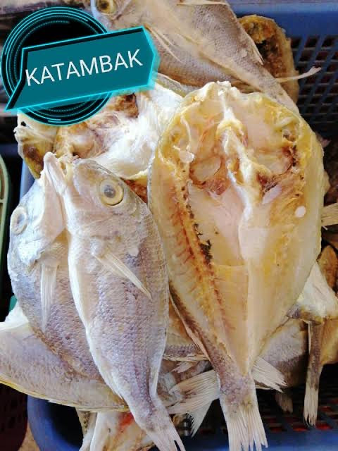 ANIC Fish Katambak (200g)