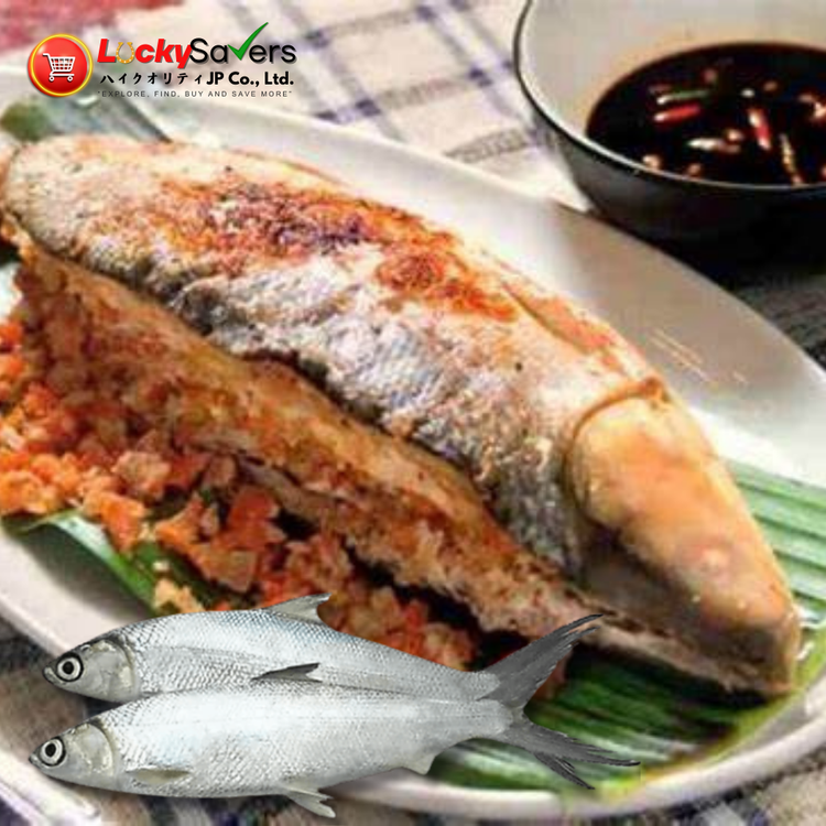 BANGUS Whole (500g~600g)
