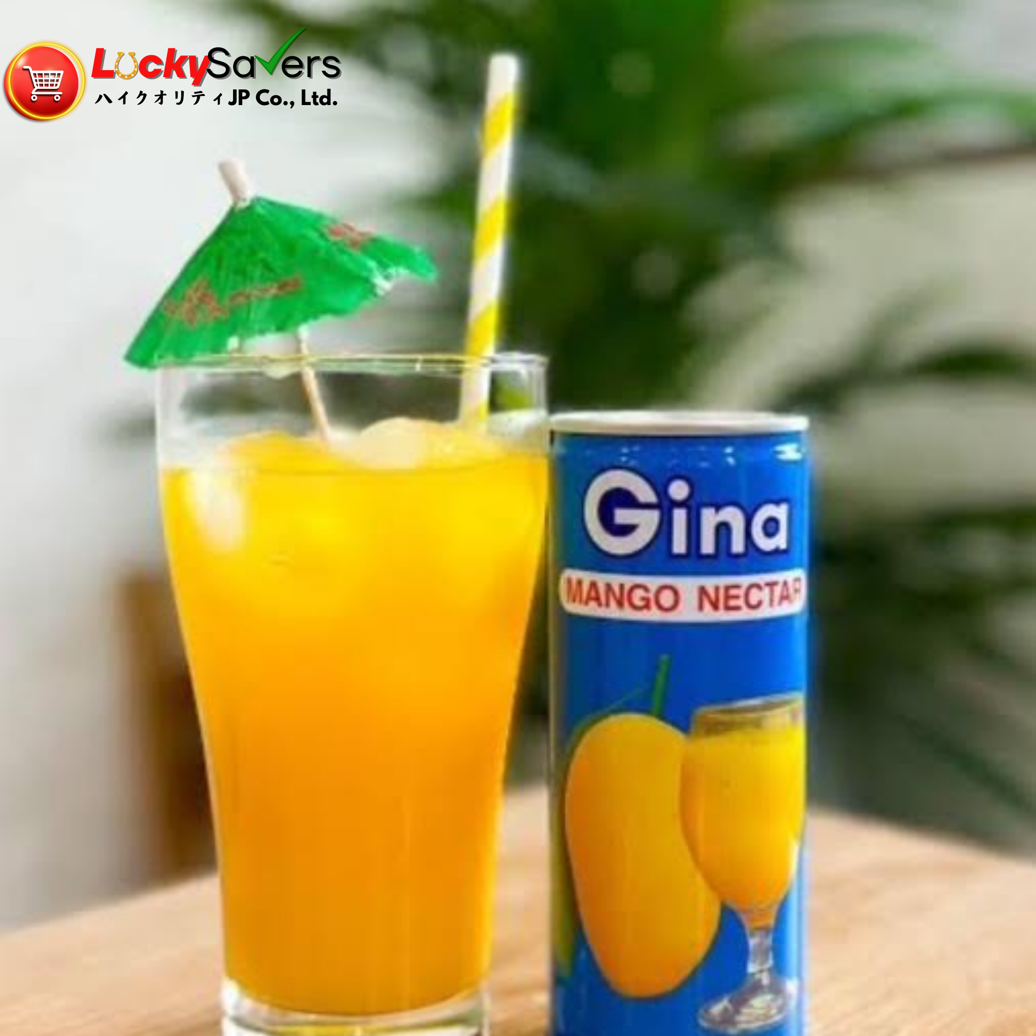GINA Mango Nectar (240ml)