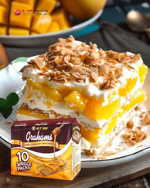 M.Y. SAN Honey Graham Crackers 10single packs (250g)